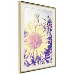 Arkiio Affisch Sunflower [Poster] 40x60 Poster